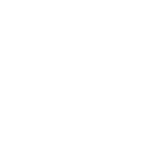 Wild Honey Fashion & Lifestyle